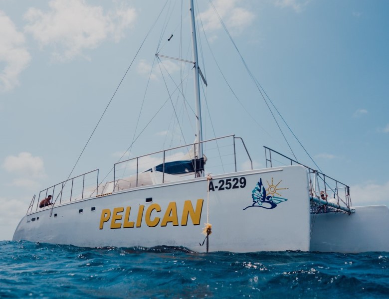 Sailing And Snorkeling Cruise