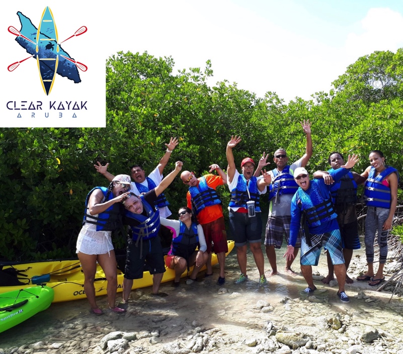 Mangrove Forest DAY TOUR