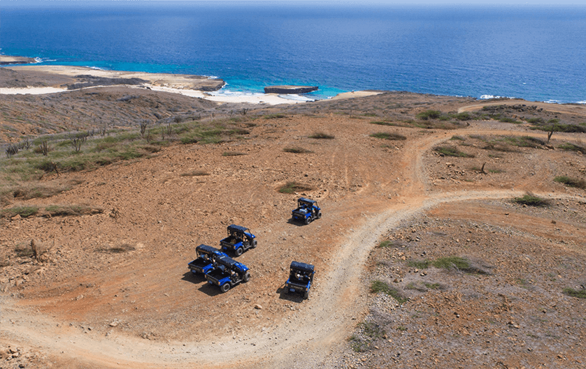 MORNING TOUR BY EL TOURS Aruba - Vacationstore.net