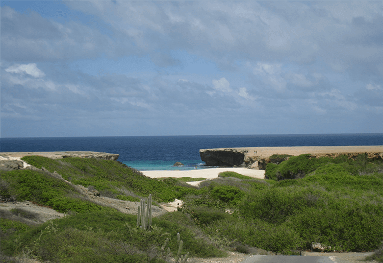 MORNING TOUR BY EL TOURS Aruba - Vacationstore.net