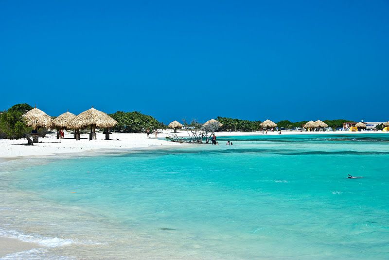 FULL ISLAND SAFARI AFTERNOON TOUR BY CROSS ARUBA - Vacationstore.net
